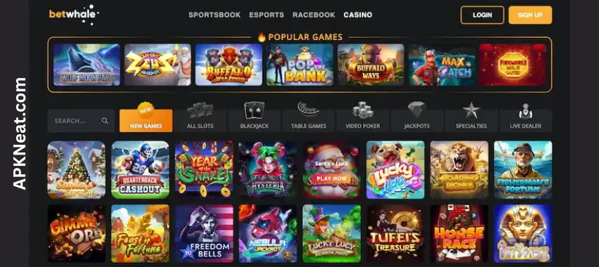 BetWhale Casino Download APK