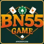 BN55 Game
