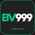 BV999 Game