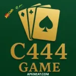 C444 Game