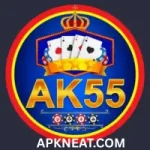 AK55 Game