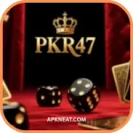 PKR47 Game